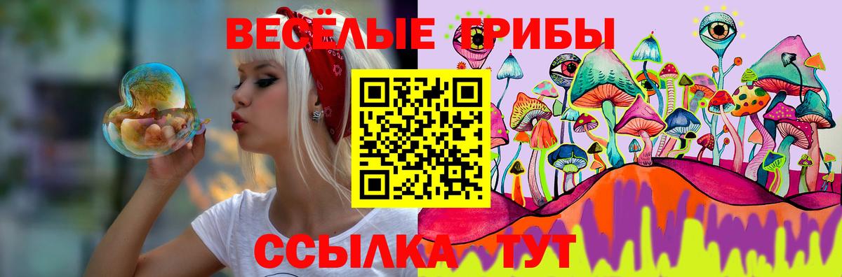 Псилоцибиновые грибы GOLDEN TEACHER  Вход с VPN  Снежинск 